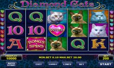 Diamond Cats